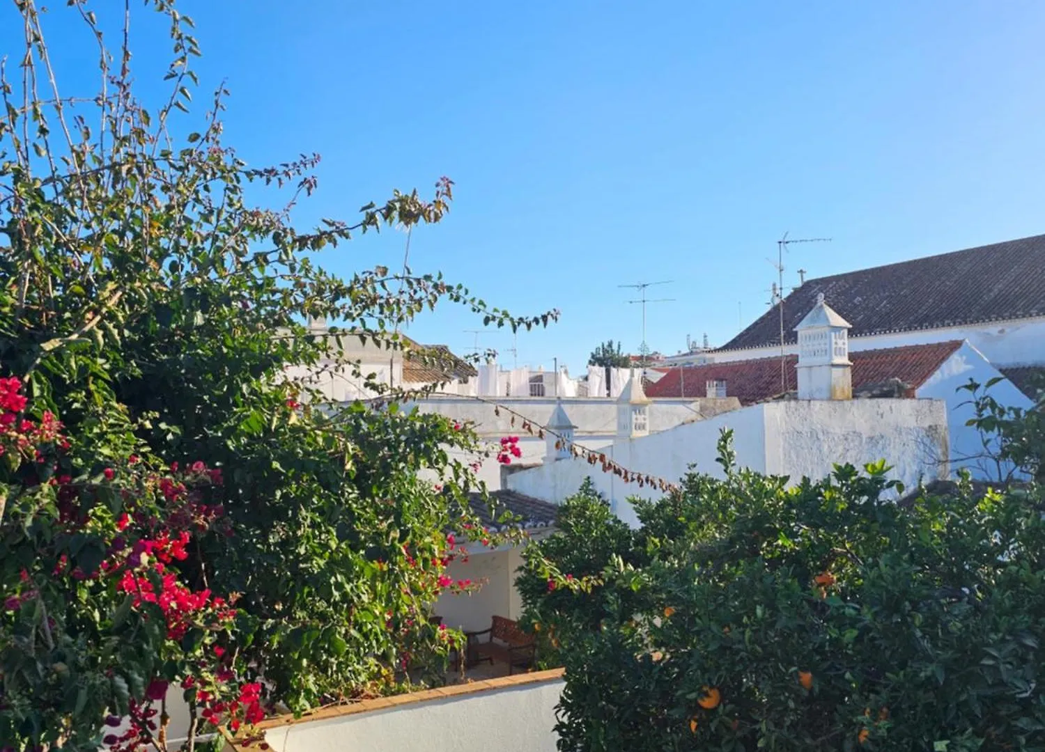 Maison d'hôtes Hotel Aguarela Tavira