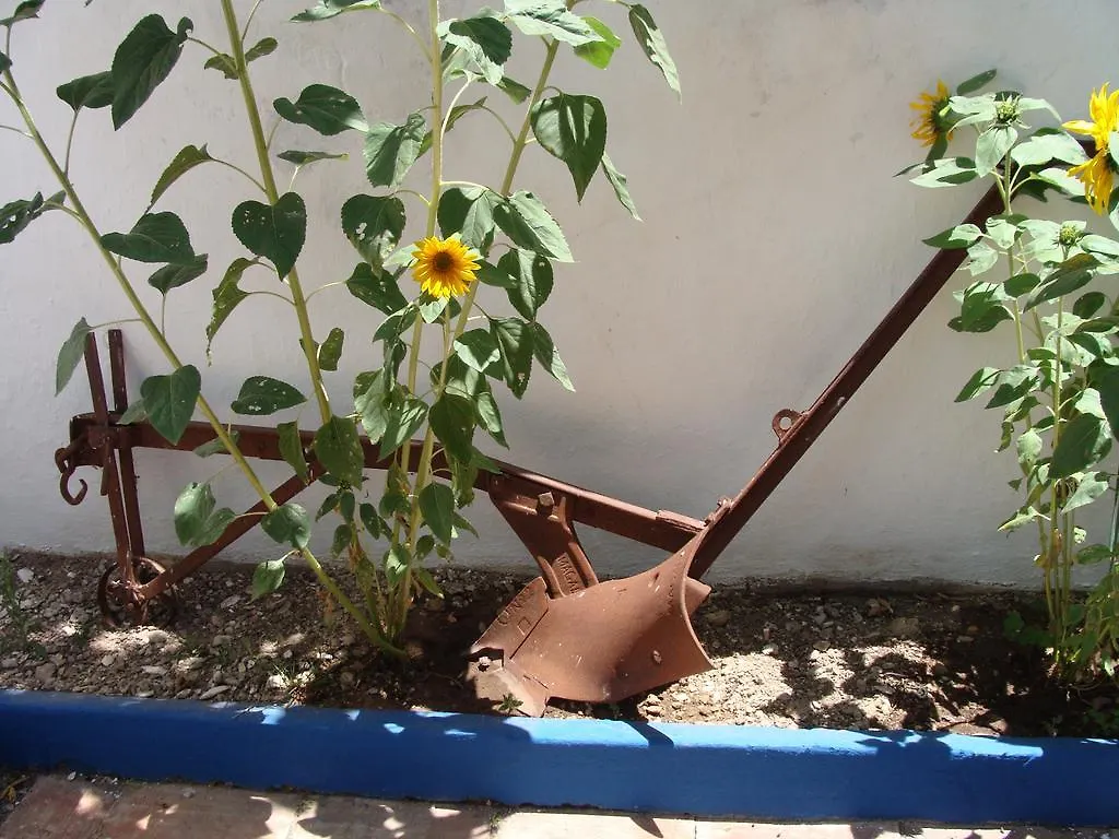 מלון Aguarela טאווירה 0*,